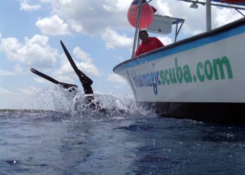 A perfect entry of a Cozumel scuba diver